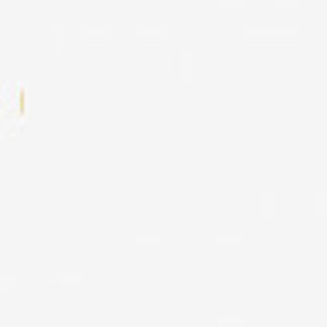 Meet your Posher, Anne